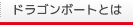 ドラゴンボートとは
